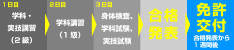 取得までのスケジュール（国家試験 受験コース）