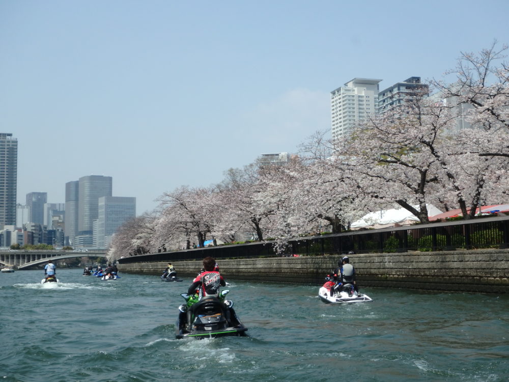 満開の桜は美しかった！大阪花見ツーリング開催しました！